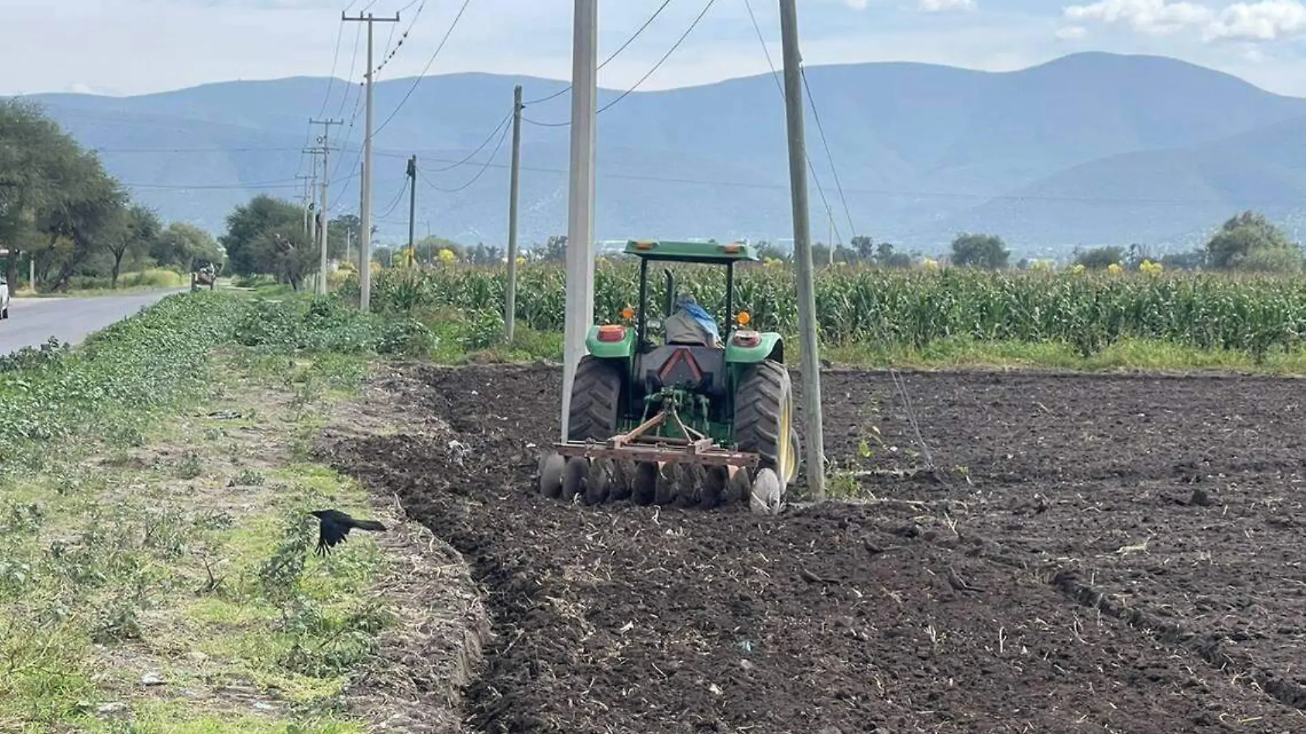 siembre en Tehuacan